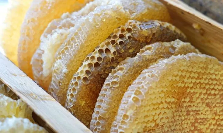 عسل تنها ماده غذایی است که فاسد نمیشود!