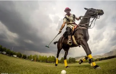 تاریخچه چوگان