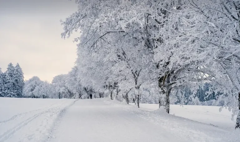 ورزش در هوای سرد