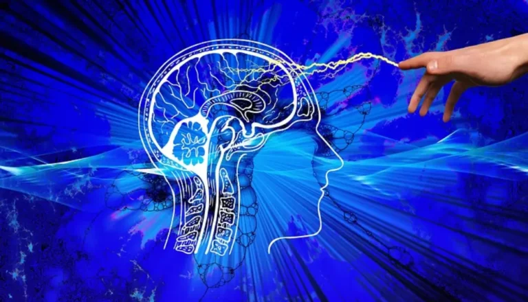 مغز انسان در طول زمان