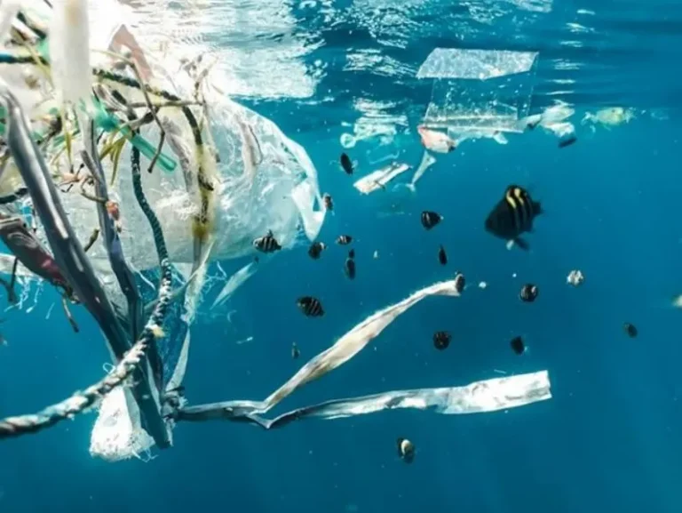 میکروپلاستیک ها