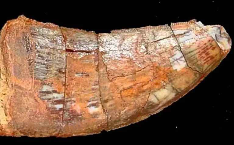 دایناسورها و معضل آلودگی هوا