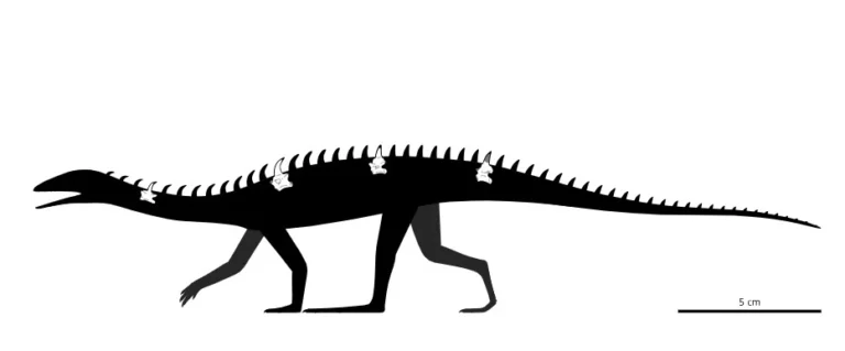 شناسایی گونه جدیدی از خزندگان در جنگل سنگی