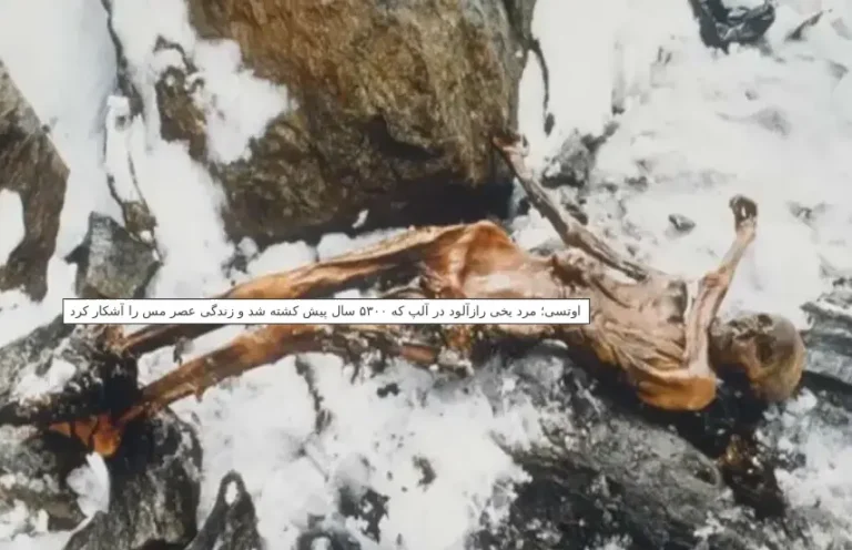 اوتسی یا مرد یخی