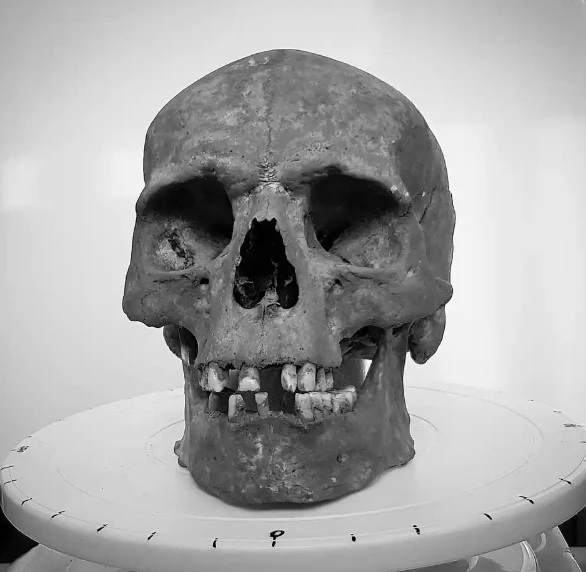 جمجمه یک میلیون ساله