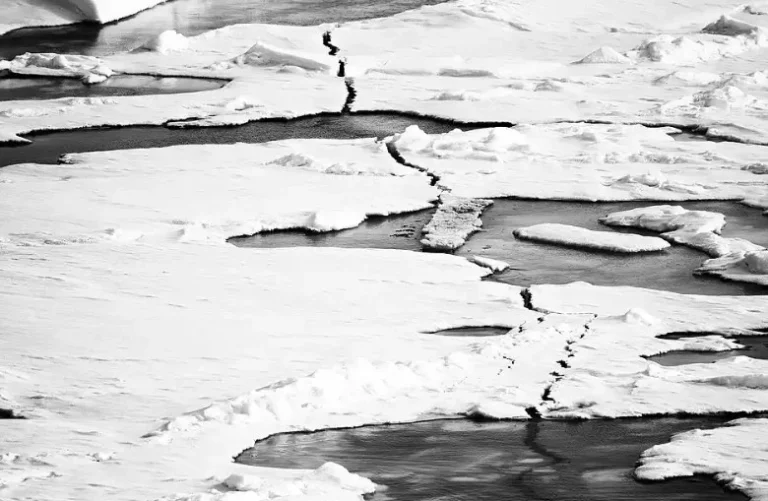 پدیده «پمپ» اقیانوسی