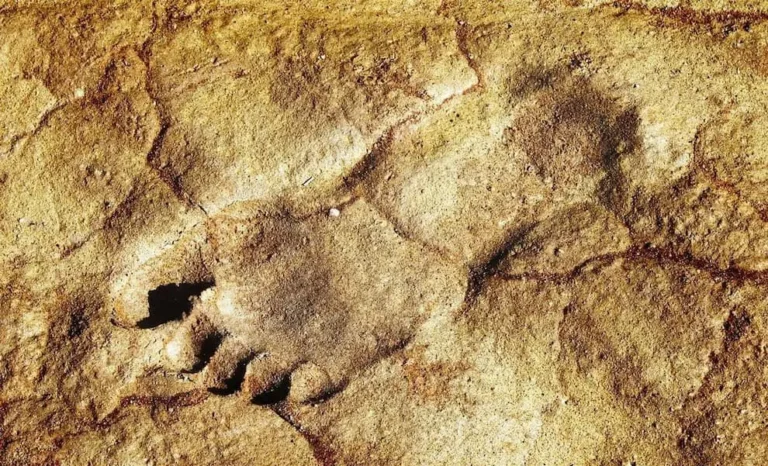کشف رد پای جدید ۱۱۵ هزارساله