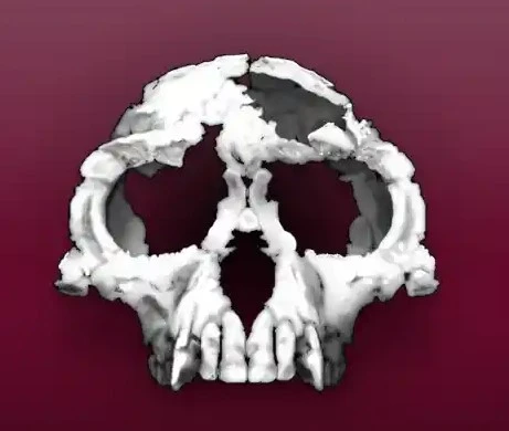 نیمه میمون، نیمه انسان