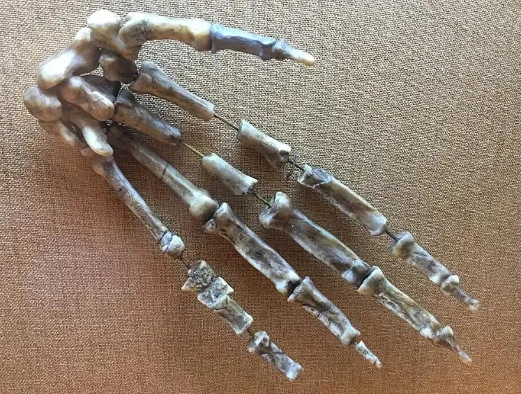 نیمه میمون، نیمه انسان (بخش دوم)