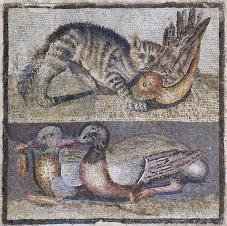 گربه ها از روم تا بریتانیا