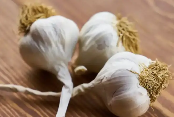 سیر، درمان طبیعی