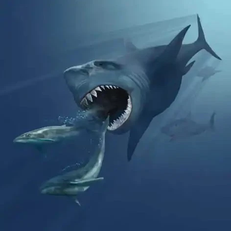 کوسه باستانی غول پیکر