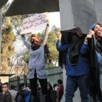 دانشگاه زنده است