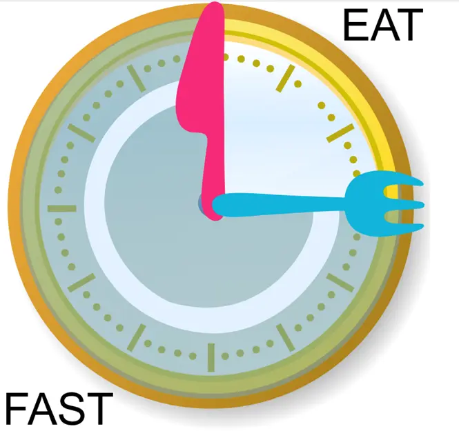 زمان بندی بهینه غذا خوردن
