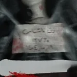 من زن ناشناس نیستم