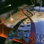 دانشمندان و تناقض در تکامل