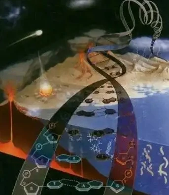 دانشمندان و تناقض در تکامل