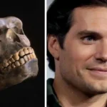 دلیل وجود چانه در انسان چیست؟