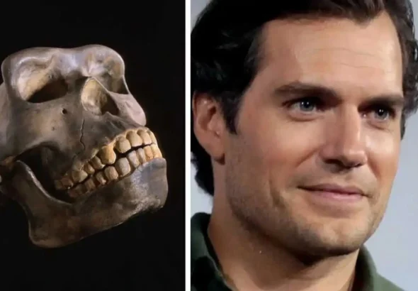 دلیل وجود چانه در انسان چیست؟